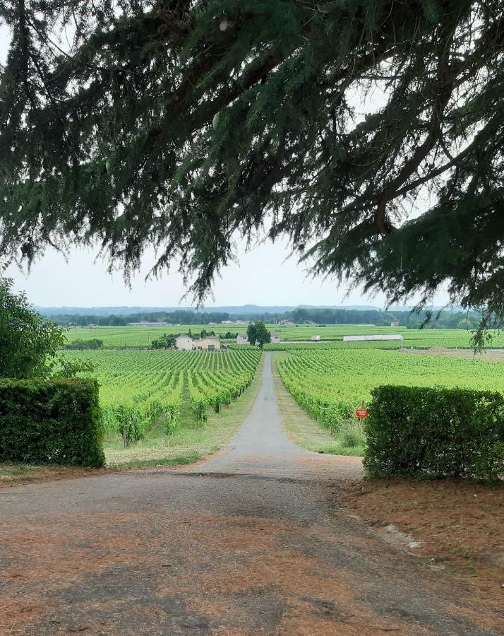 A L'Ombre De La Treille -Proche Saint-Emilion Bed & Breakfast Exterior foto